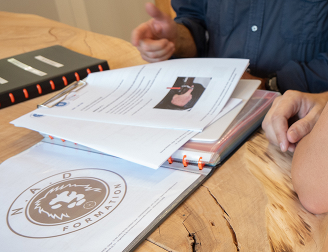 Document en lien à la formation